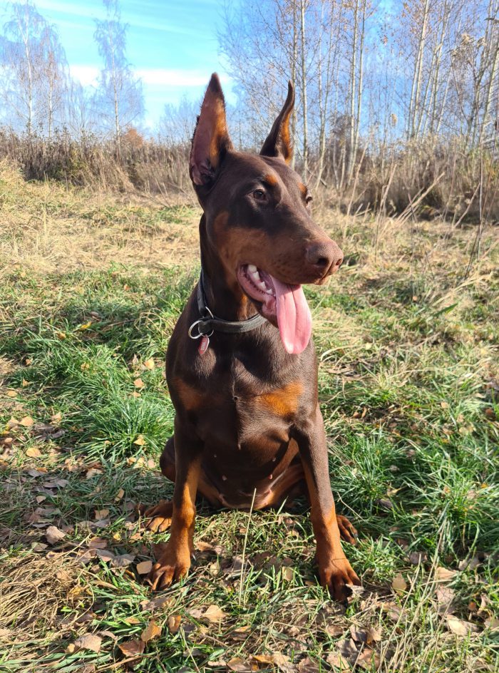 20201121_123009 — kopia