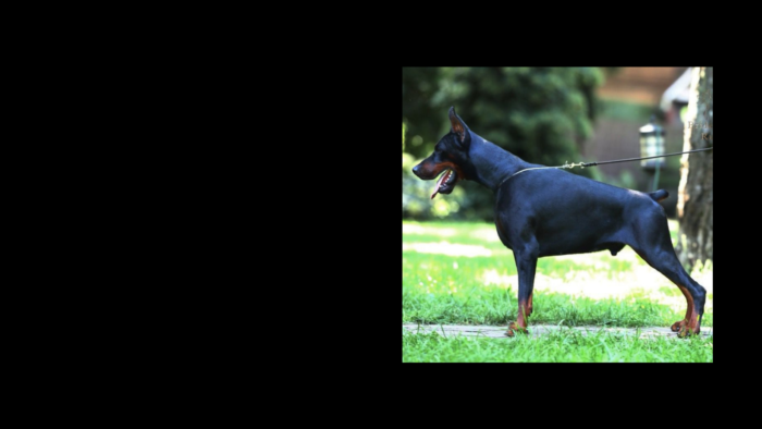 Projekt bez nazwy (2)