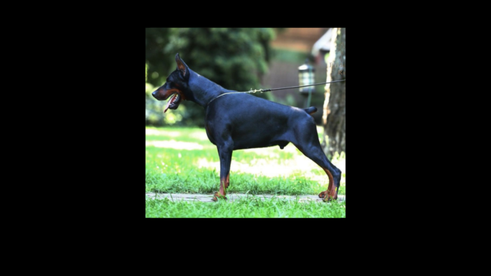 Projekt bez nazwy (3)