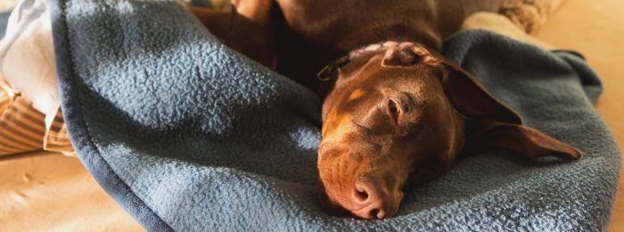 shutterstock_670634467 — kopia — kopia