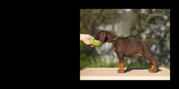 Projekt bez tytułu (29)