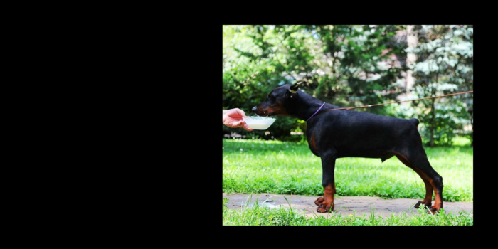 Projekt bez tytułu (36)