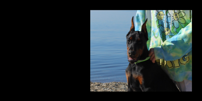 Projekt bez tytułu (43)