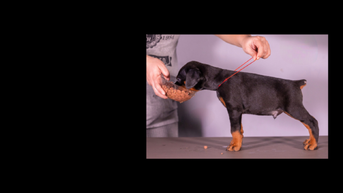 Projekt bez tytułu (56)