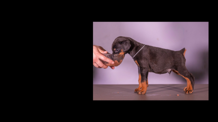 Projekt bez tytułu (59)