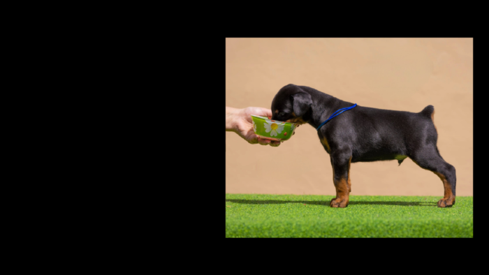 Projekt bez nazwy (1)