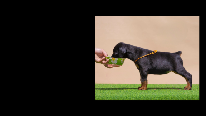 Projekt bez nazwy (3)