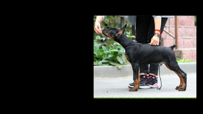 Projekt bez nazwy (4)