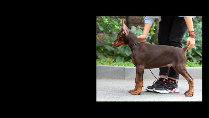 Projekt bez nazwy (6)