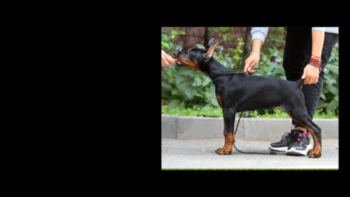 Projekt bez nazwy (7)