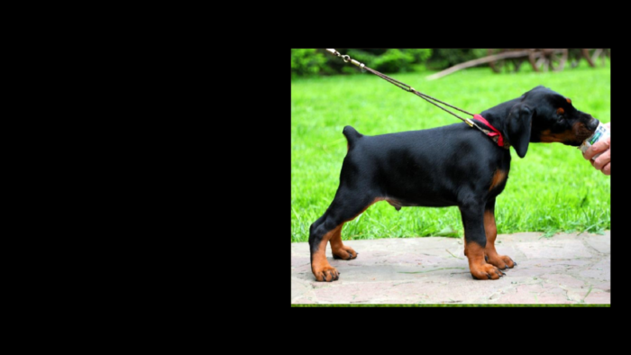 Projekt bez nazwy (8)