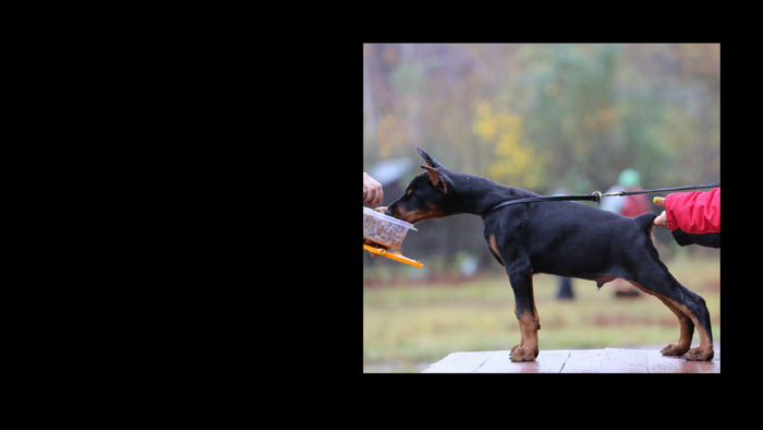 Projekt bez nazwy (18)