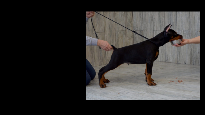 Projekt bez nazwy (21)