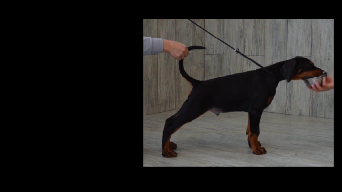 Projekt bez nazwy (22)