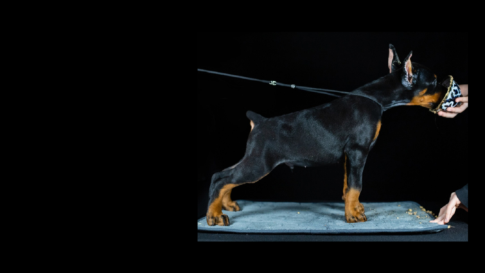 Projekt bez nazwy (27)