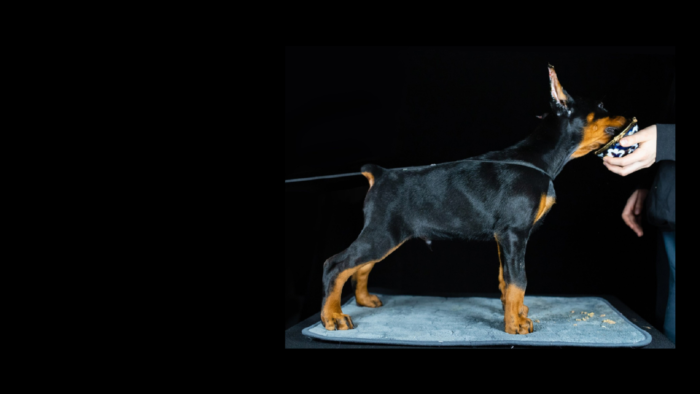 Projekt bez nazwy (28)