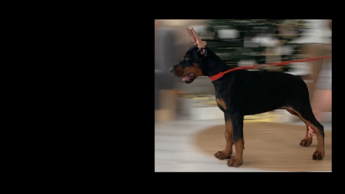 Projekt bez nazwy (32)