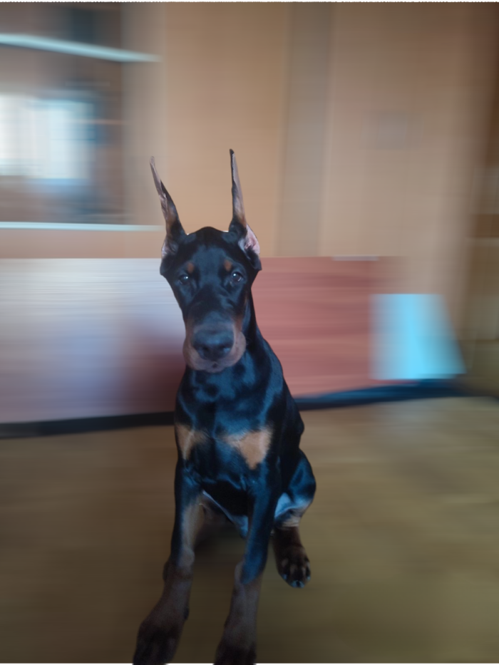 photoroom-20240219_163906-700x933