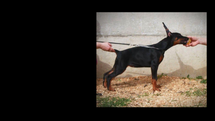 Projekt bez nazwy (34)