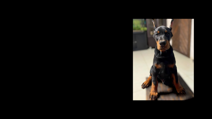 Projekt bez nazwy (42)