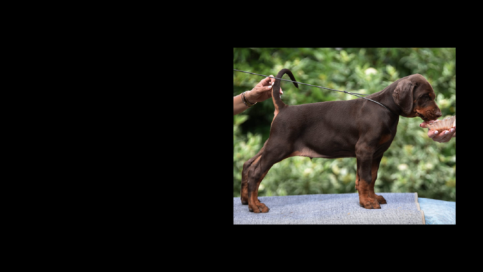 Projekt bez nazwy (6)