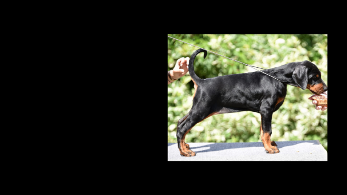 Projekt bez nazwy (7)