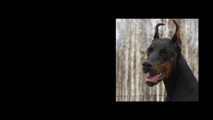 Projekt bez nazwy (21)