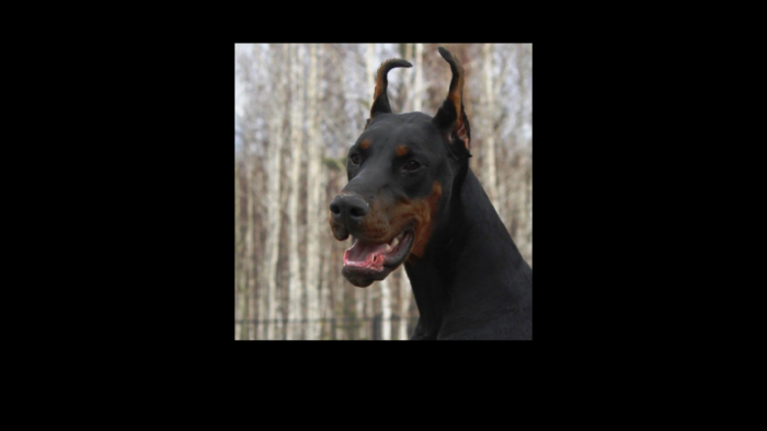 Projekt bez nazwy (22)