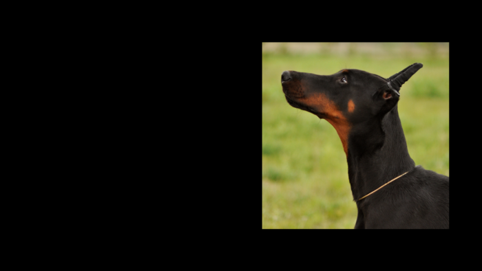 Projekt bez nazwy (8)