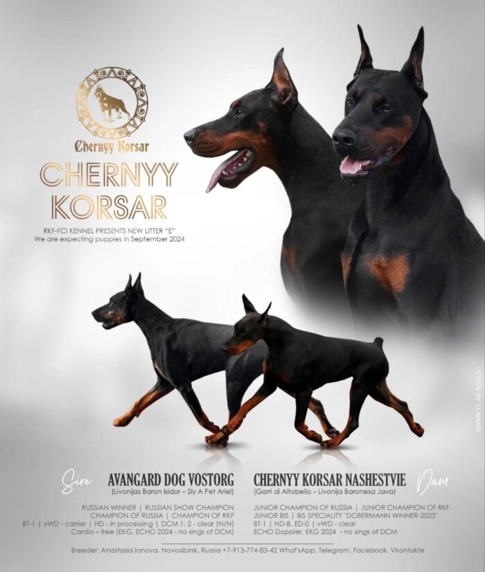 Zdjęcie WhatsApp 2025-05-18 o 14.17.56_473adcc2