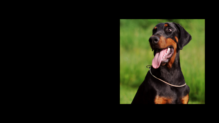 Projekt bez nazwy (5)