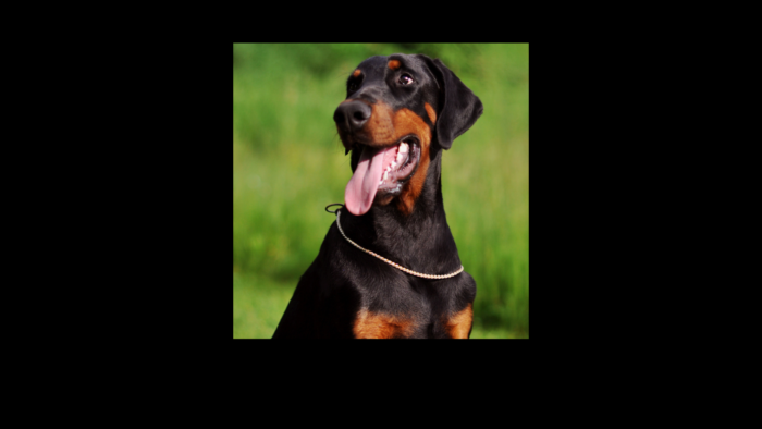 Projekt bez nazwy (6)