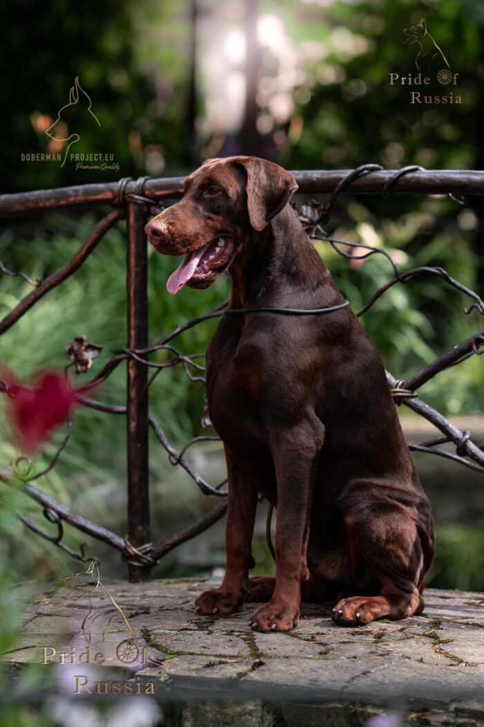 IMG-20250730-WA0002 logo