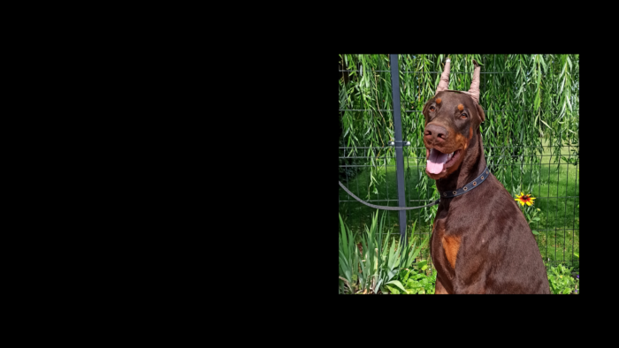 Projekt bez nazwy (4)