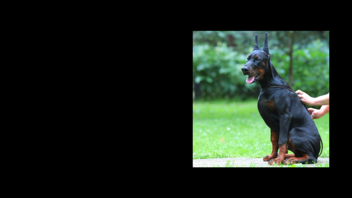 Projekt bez nazwy (7)