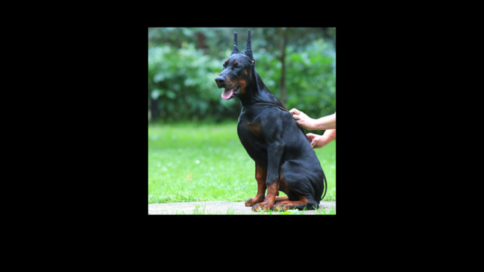 Projekt bez nazwy (8)