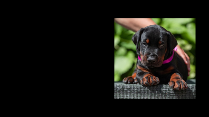 Projekt bez nazwy (16)