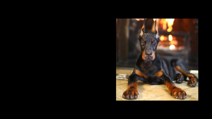 Projekt bez nazwy (10)