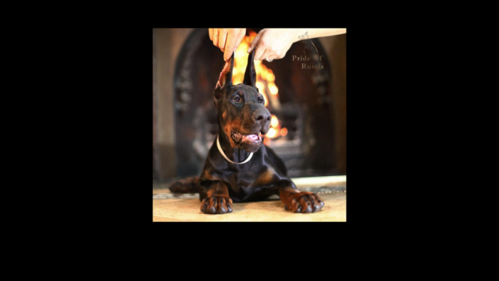 Projekt bez nazwy (5)