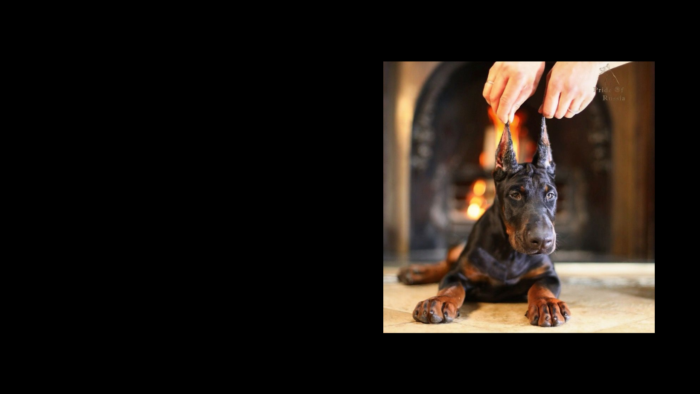 Projekt bez nazwy (8)