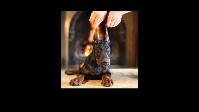 Projekt bez nazwy (9)